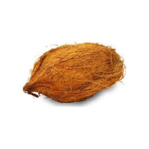 Coconut / Puja Nariyal (1pic)
