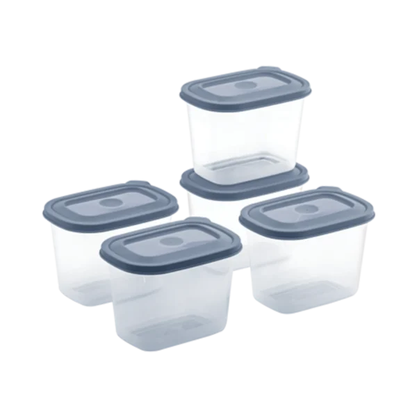 All Time Plastic Food Saver (250 Ml x 5) - 1.25 Ltr (5 Piece Set)