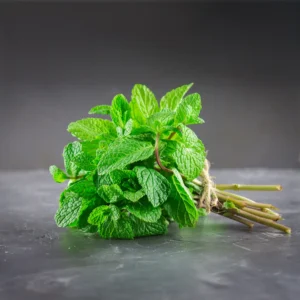 Mint Bunch (pudina Patta) - 90-100 Gm