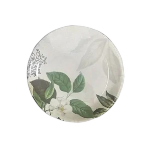 Accroware Melamine Dinner Plate 10.75 Inch