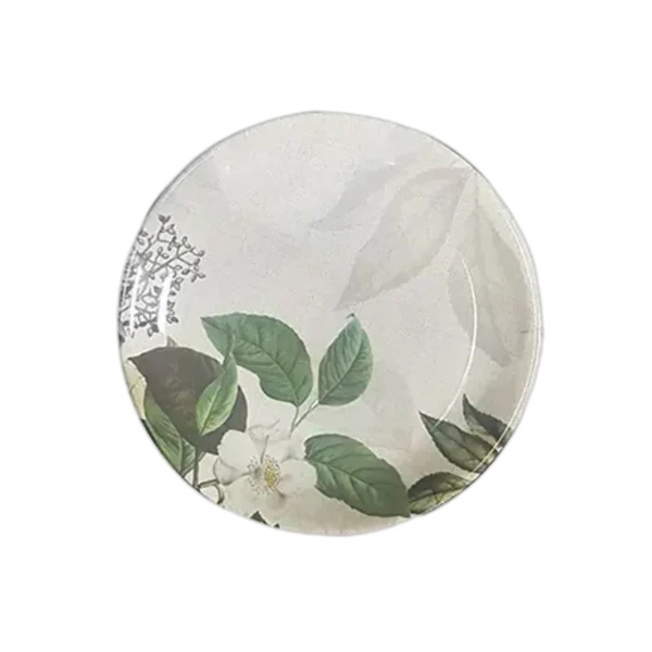 Accroware Melamine Dinner Plate 10.75 Inch