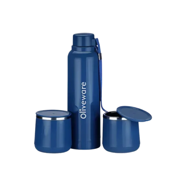 Oliveware Bright Steel Insulated Bottle & Cup - 690 Ml + 230 Ml