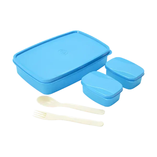 Oliveware Delight Lunch Box (Assorted Color)