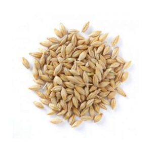 Barley (Jau) ? 500g With Green Packaging
