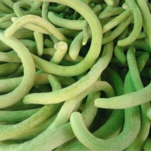 Kakdi/Cucumber Long Vegetable Seeds /500gm