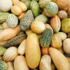 kakdiyo -/1kg